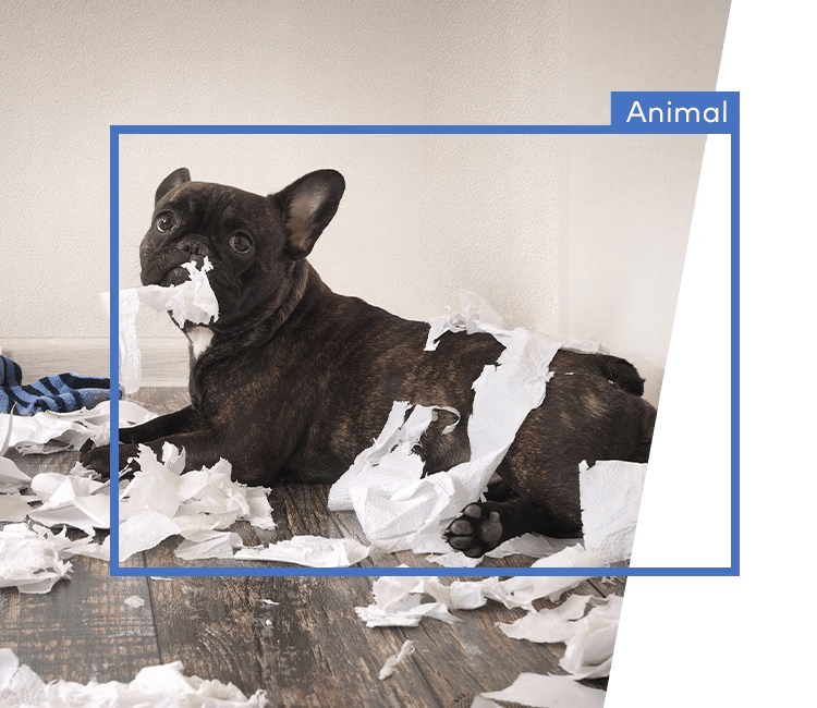 A pet caught on camera surrounded by torn items, with Alarm.com&rsquo;s video analytics identifying and categorizing the activity.