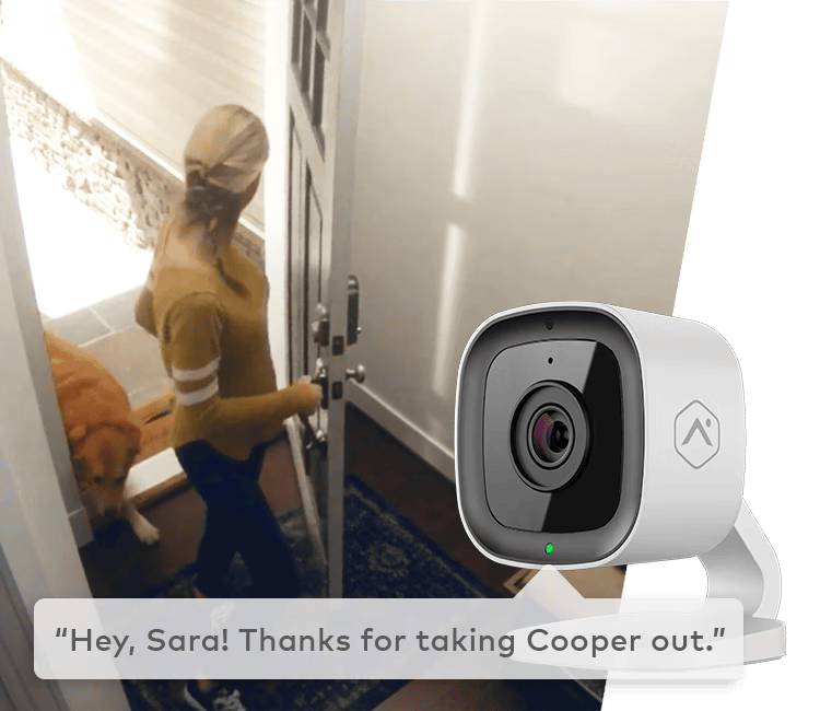 A person captured on Alarm.com&rsquo;s indoor camera, showing activity detection with a friendly notification about taking care of a pet.